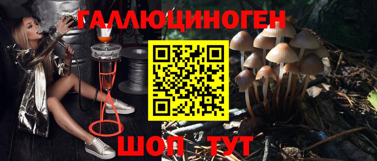 Псилоцибиновые грибы мухоморы Малгобек