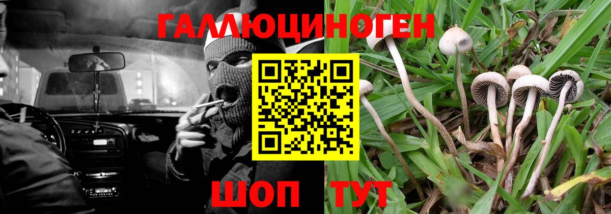 Галлюциногенные грибы Cubensis  Вход с VPN  Псилоцибиновые грибы Magic Shrooms  Малгобек 